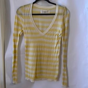 Womens American Eagle V-Neck Sweater